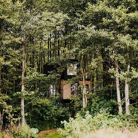 Dziki Las - Domki Na Drzewach Miłomłyn Exterior foto