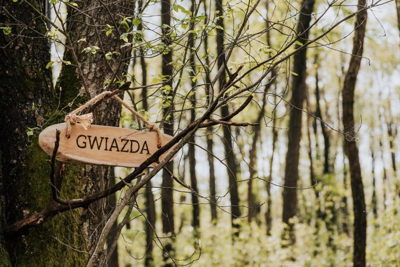 Dziki Las - Domki Na Drzewach Miłomłyn Exterior foto