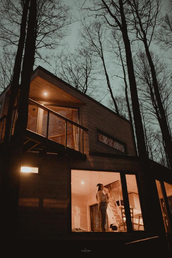 Dziki Las - Domki Na Drzewach Miłomłyn Exterior foto