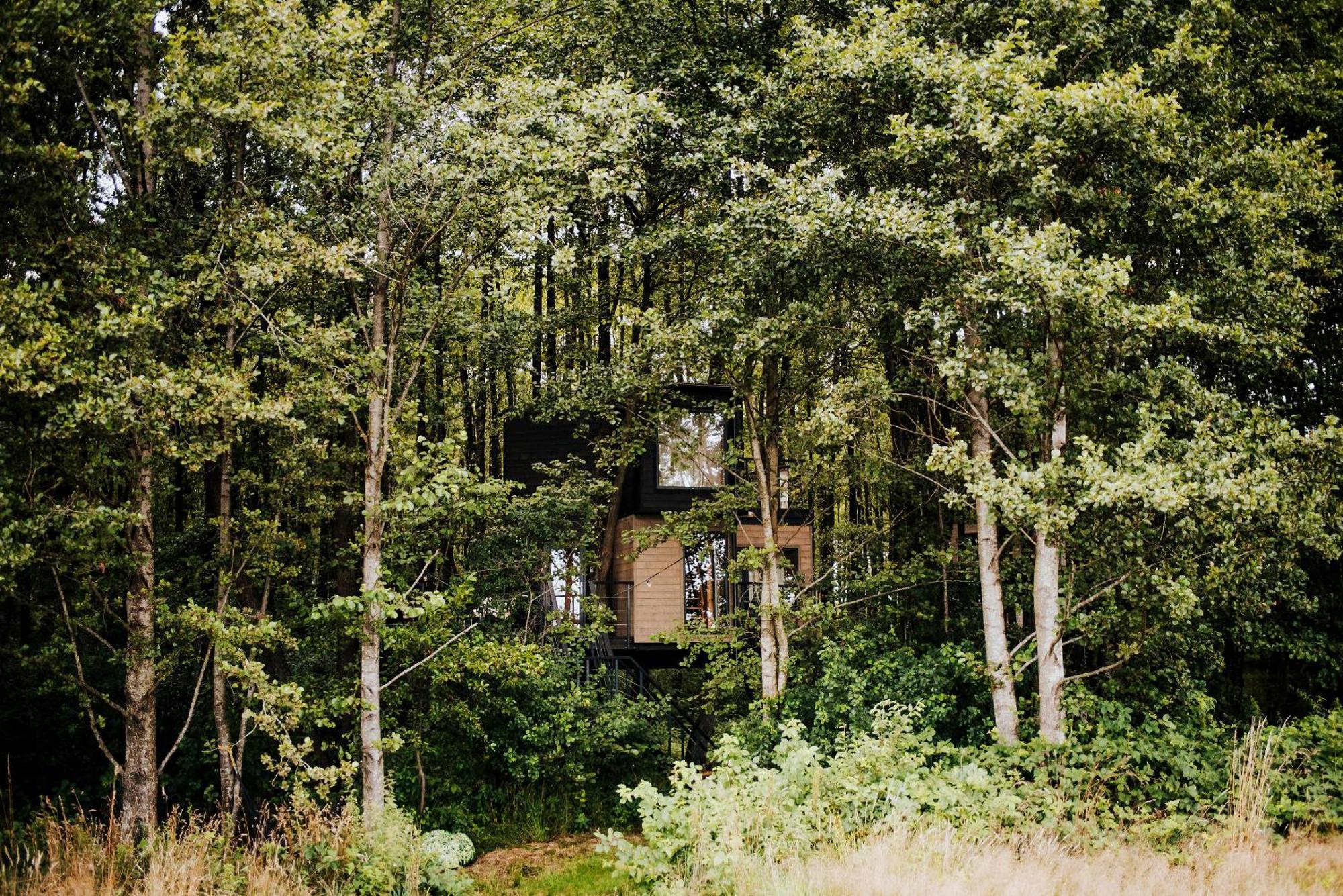 Dziki Las - Domki Na Drzewach Miłomłyn Exterior foto