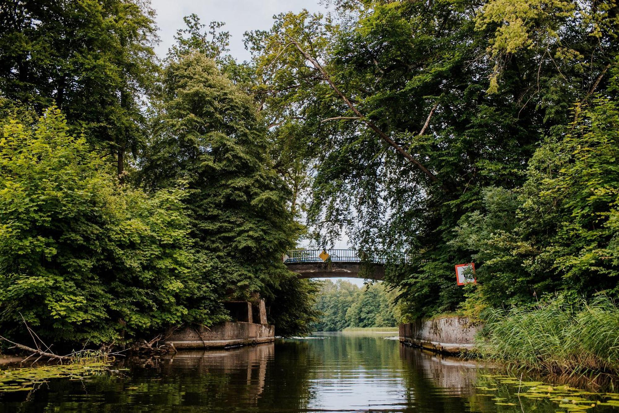 Dziki Las - Domki Na Drzewach Miłomłyn Exterior foto